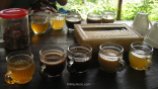 Three varieties of Kopi Luwak and two other infusions. You can try coffe for 3-5 $ per cup, a bargain compared to the 25 -30 $ you would pay in western countries.