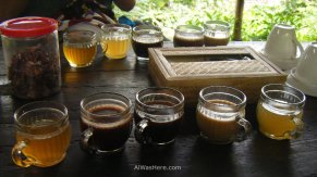 Three varieties of Kopi Luwak and two other infusions. You can try coffe for 3-5 $ per cup, a bargain compared to the 25 -30 $ you would pay in western countries.