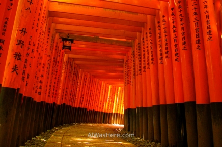 Tunnel made of multiple toriis in Fushimi Inari Inari Taisha, Kyoto