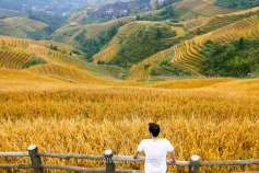 In Music from Paradise viewpoint, rice terraces in Dazhai, Longji, Longsheng, Guilin, China