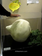 Model of a giant radish in Visitors Center