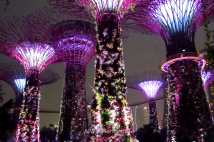 Massive artificial trees in the Gardens by the Bay in Singapore illuminated at night