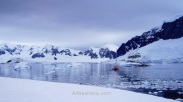 Antártida Cuverville Island Antarctica (5)